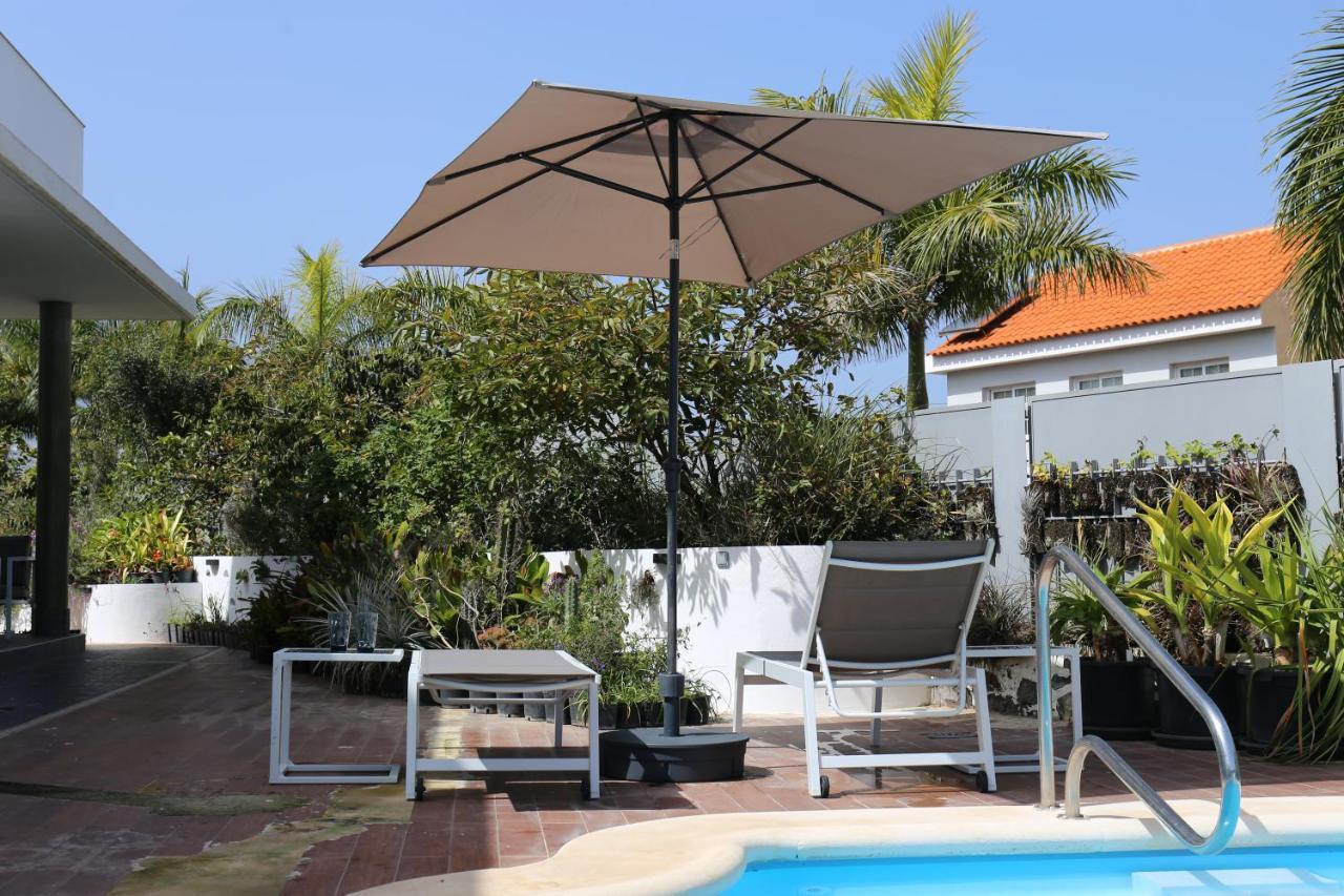 Jungle Paradise La Orotava Exterior foto